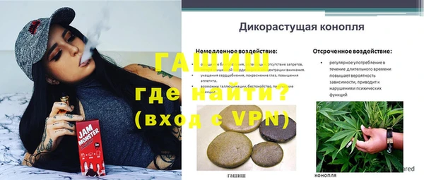 ешки Абаза